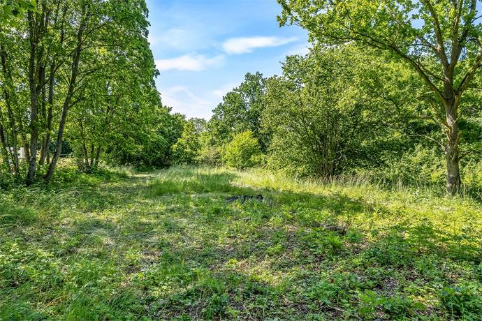 tomt på Skinnhorvagatan 11 Kolstad, Borgholms kommun - bild 3