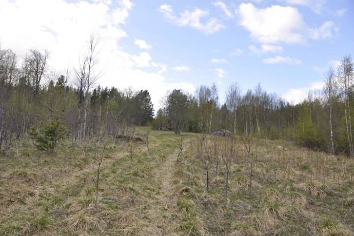 Gård utan jordbruk på Glissjöberg 435 Glissjöberg Härjedalens kommun - bild 65