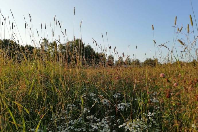 3 rum Villa på Markskogsvägen 129 Persön Luleå kommun - bild 64