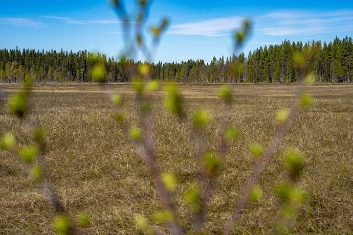 118 m² Gård/skog på Laxbäcken 224 Vilhelmina kommun - bild 22