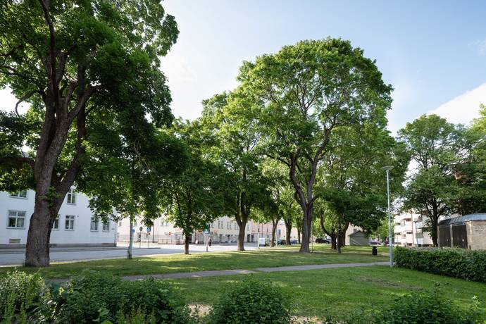 3 rum Lägenhet på Lövstagatan 6B Centralt väster Örebro kommun - bild 55