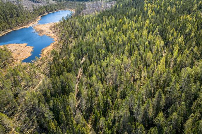 gård med skogsbruk på SUNDSVALL BODACKE 1:81 Liden, Sundsvalls kommun - bild 1