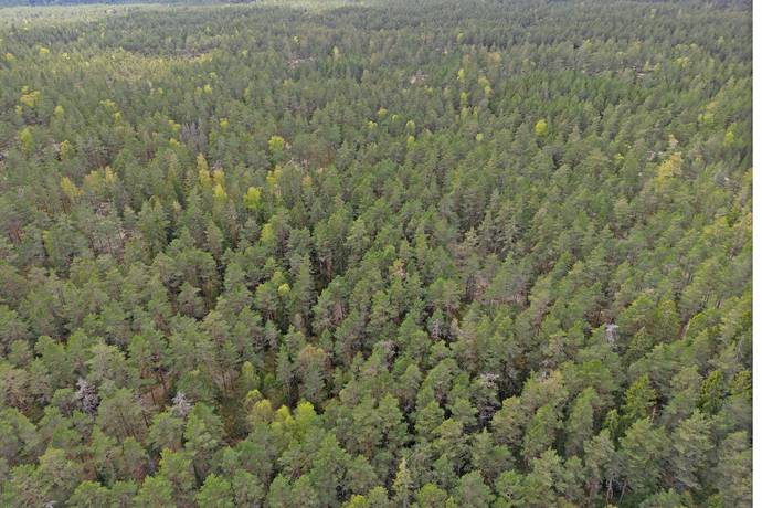Gård med skogsbruk på Skogsfastighet 308 ha - Kan förvärvas av juridisk person Katrineholms kommun - bild 3