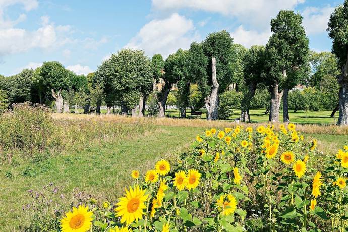 2 rum Lägenhet på Venngarn 294 a Sigtuna - Venngarn Sigtuna kommun - bild 21