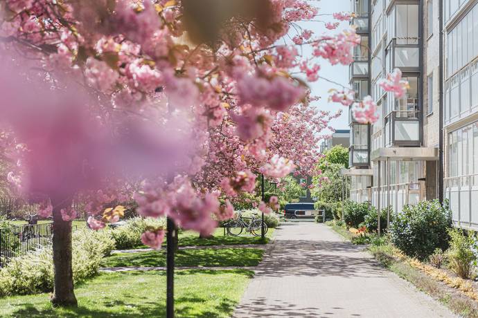 4 rum Lägenhet på Arkitektgatan 53 Södertorp Malmö kommun - bild 28