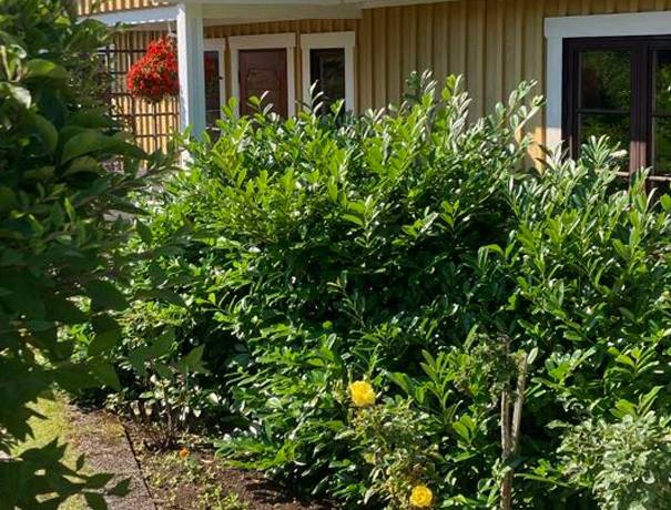 6 rum villa på Skällerydsvägen 18 Blomstermåla, Mönsterås kommun - bild 2