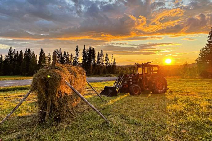 3 rum Gård/skog på Vallen 256 Kaxås Krokoms kommun - bild 42