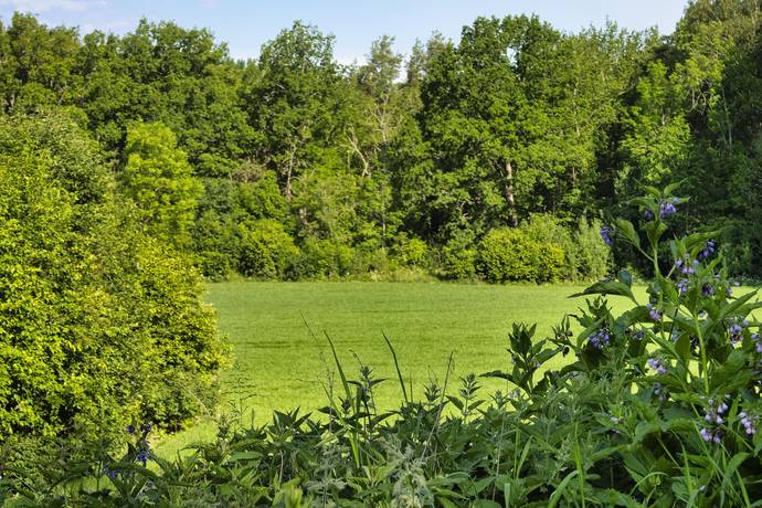 10 rum Gård/skog på Harbonäs säteri Heby- Uppland Heby kommun - bild 22