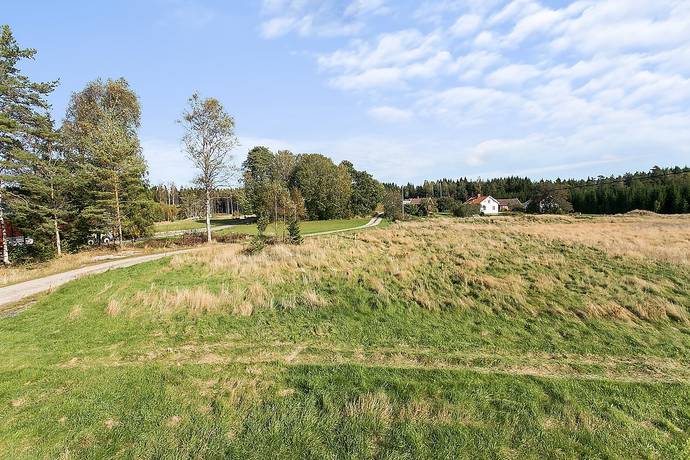 Torbal, Lur, Tanums kommun