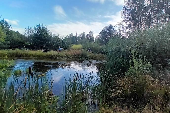 4 rum Villa på Hälletorp Åsen 1 Arvika Eda kommun - bild 51