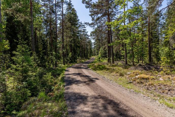 8 rum Gård med skogsbruk på Baggetorpskvarn Äspemåla 1 Äspemåla Oskarshamns kommun - bild 11