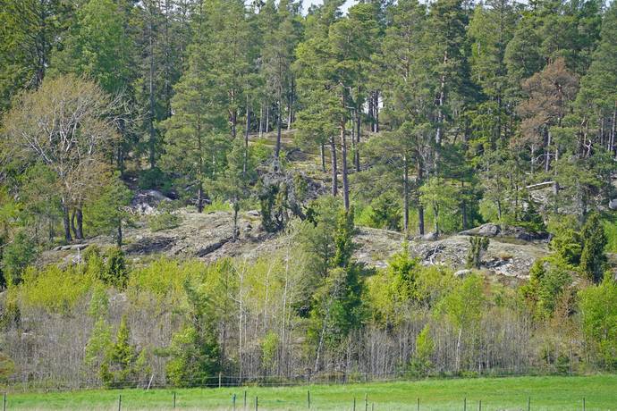 Gård/skog på Övre Hammarby Haninge kommun - bild 9