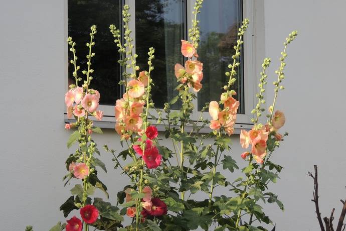 3 rum Villa på Karlsfältsvägen 138 Stora Herrestad Ystads kommun - bild 24