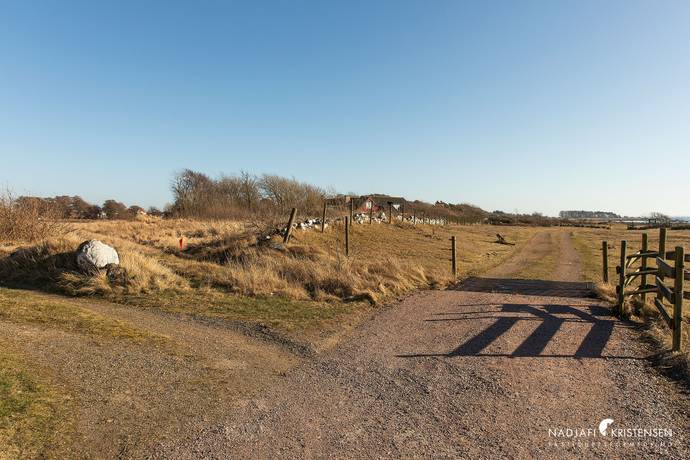 Tomt på Kohagavägen 7 Ranarpsstrand Båstads kommun - bild 6