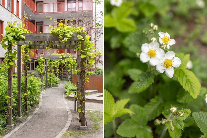 3 rum Lägenhet på Lilla Varvsgatan 51A Dockan Malmö kommun - bild 40
