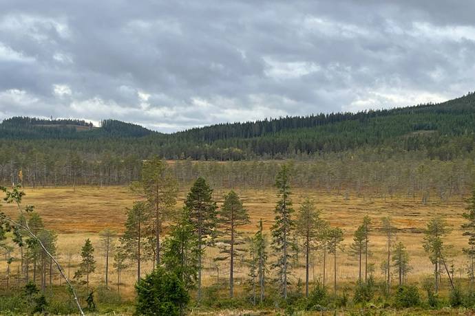 Skärklitt, Älvdalen, Älvdalens kommun
