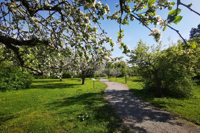 1 rum Lägenhet på Follingbogatan 18 Beckomberga Stockholms kommun - bild 28
