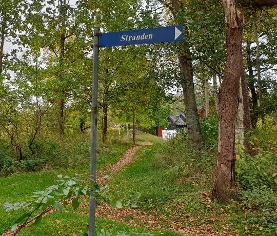 1 rum Lägenhet på Femte Tvärgatan 11 stuga nr. 53 Havsbaden Ängelholms kommun - bild 24