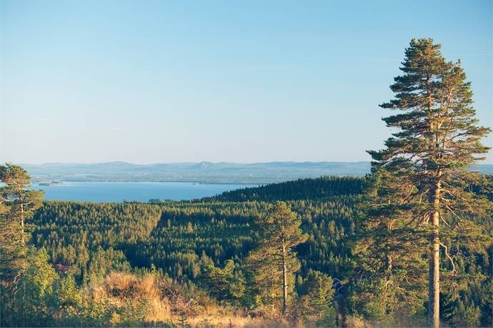 Tomt på Sjögläntan Grönklitt Orsa kommun - bild 35