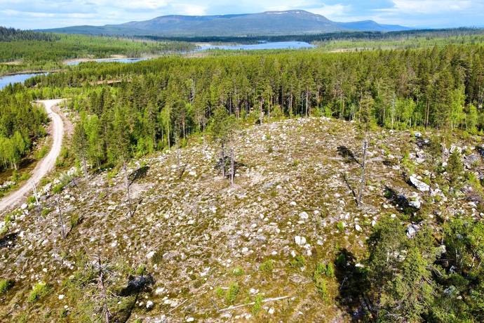 gård med skogsbruk på Arjeplog Arjeplogs Skolbord 1:5 Arjeplog, Arjeplogs kommun - bild 5