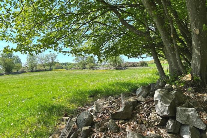 5 rum Gård/skog på Tunby 3206 Tomelilla kommun - bild 27