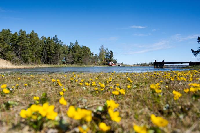 4 rum Vinterbonat fritidshus på Fårörenvägen 14 Öregrund Östhammars kommun - bild 40