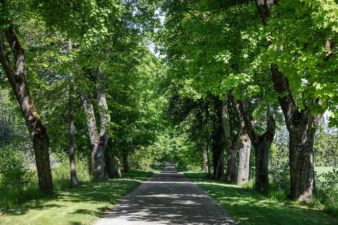 7 rum lägenhet på Lennartsnäs Slott 1 Upplands-Bro, Upplands-Bro kommun - bild 5