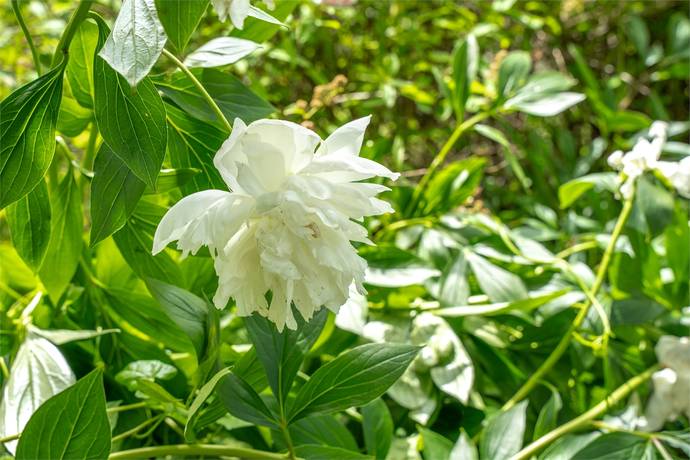 2 rum Villa på Ängelsbergsvägen 86 Ängelsberg Fagersta kommun - bild 28