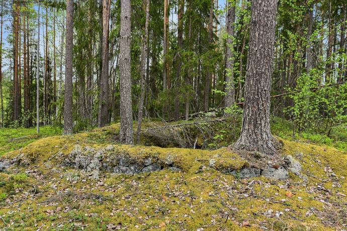 Tomt på Arvidsträsk 1:28 Arvidsträsk Älvsbyns kommun - bild 7