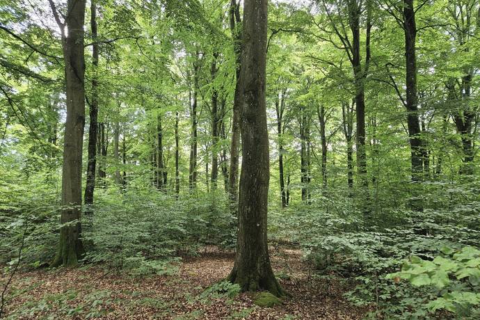 Gård med jordbruk på Trulshärad 8151 Önneköp Hörby kommun - bild 28