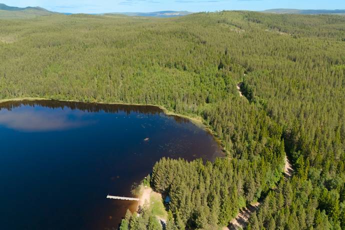 Gård/skog på Ytterberg 431 Ytterberg Härjedalens kommun - bild 10