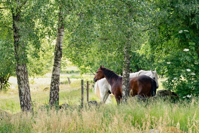 3 rum Villa på Höryda 114 Fridlevstad Karlskrona kommun - bild 21