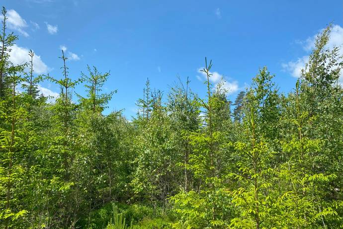 Gård med jordbruk på Upplöv Norra Skattegård 1 Upplid Värnamo kommun - bild 51