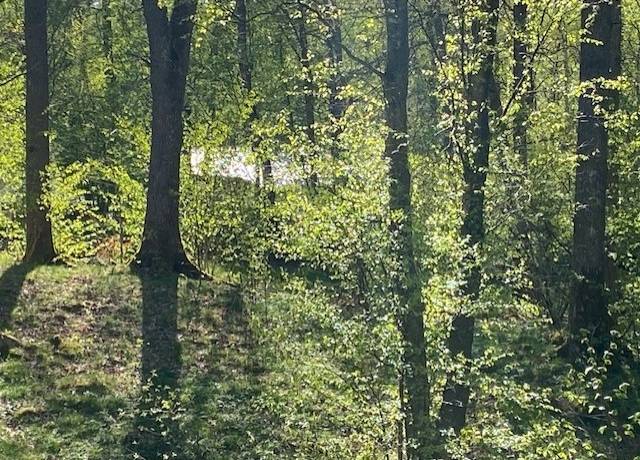 Tomt på Enevägen 9 Karlarp Höörs kommun - bild 4
