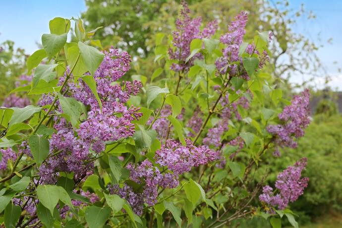 6 rum Villa på Tutta uddsvägen 3 Färingsö Skå Ekerö kommun - bild 40