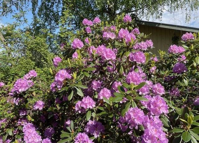 4 rum Villa på Rågvägen 32 Ryssbo Enköpings kommun - bild 45