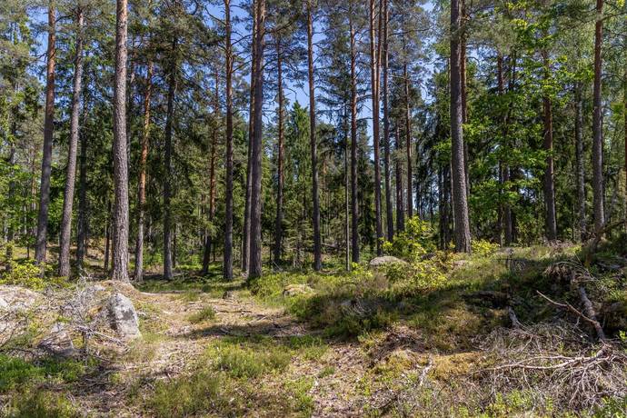 8 rum Gård med skogsbruk på Baggetorpskvarn Äspemåla 1 Äspemåla Oskarshamns kommun - bild 9