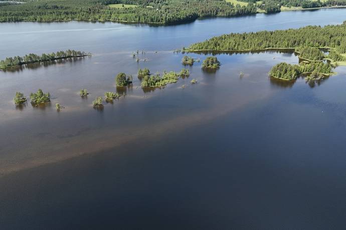 gård med skogsbruk på Skog Lycksele Pausele Pausele, Lycksele kommun - bild 5