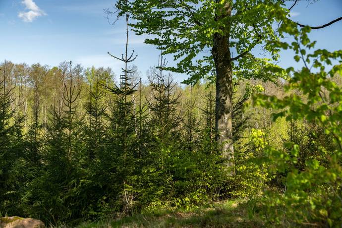 200 m² Gård utan jordbruk på Krokhusvägen 325 Ängelholm Ängelholms kommun - bild 74