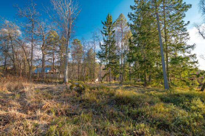 Tomt på Björkuddsvägen 19 Ekholmsnäs Lidingö kommun - bild 11