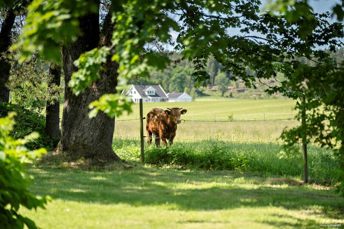80 m² Gård med jordbruk på Vittene Olofsgården   Vittene Vårgårda kommun - bild 28
