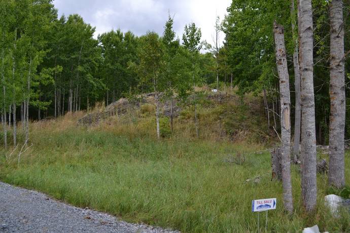 Allemoravägen 11C, Riala - Allemora, Norrtälje kommun