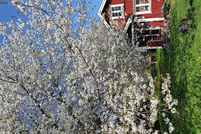 3 rum Vinterbonat fritidshus på Barne-Åsaka Jonastorp 704 Jonslund Med Omnejd Essunga kommun - bild 47