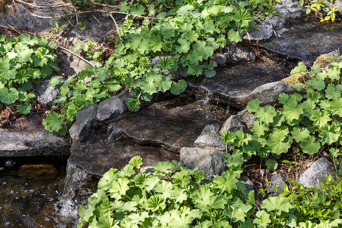4 rum Villa på Landbergavägen 46 Frillesås Kungsbacka kommun - bild 33