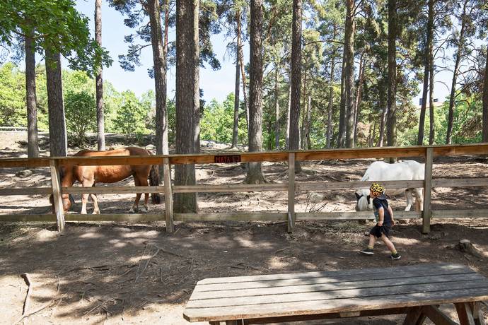 2 rum Lägenhet på Hägerstensvägen 161B Aspudden Stockholms kommun - bild 59