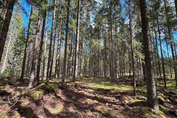 Gård med skogsbruk på Stenkällegården 1 Tiveden Karlsborgs kommun - bild 78