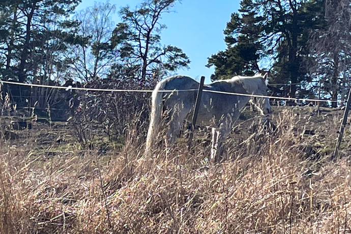 4 rum Vinterbonat fritidshus på Norrbygårdsvägen 29 Norrby Gård Norrtälje kommun - bild 32