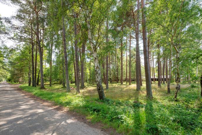 Tomt på Berghs väg 37 Ljungskogen Vellinge kommun - bild 2