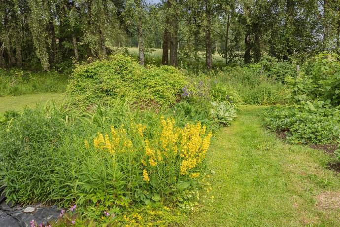 3 rum Vinterbonat fritidshus på Sörby 330 Hårsbäcksdalen Heby kommun - bild 33