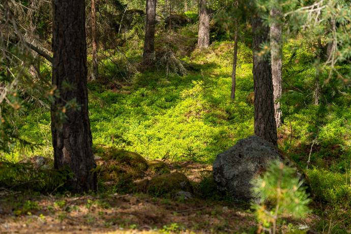 Tomt på Anneviksvägen 28 Hällby Eskilstuna kommun - bild 25